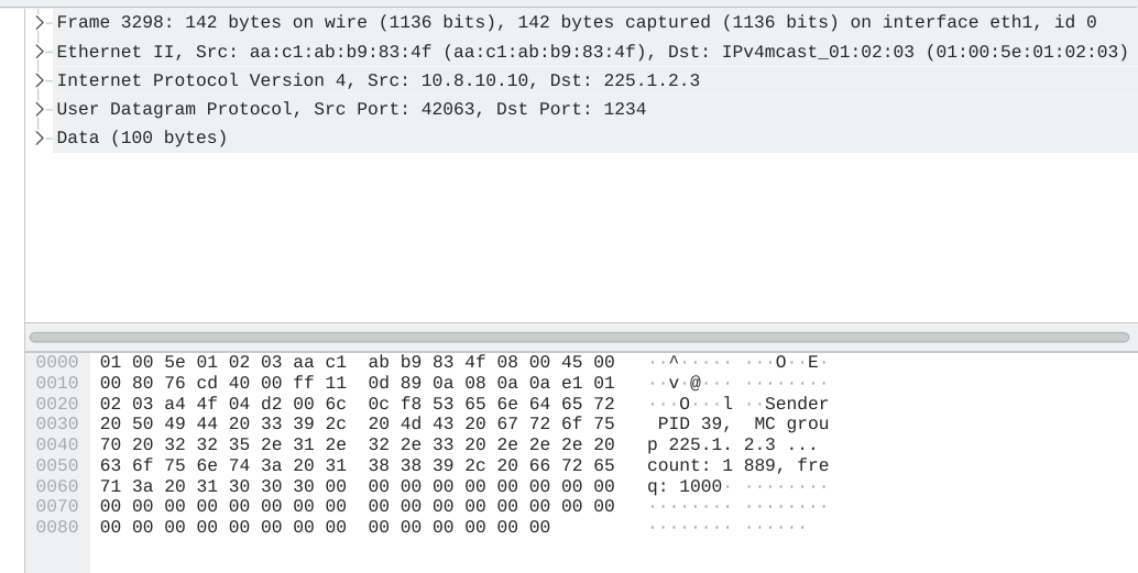 Dissected Test Multicast Packet