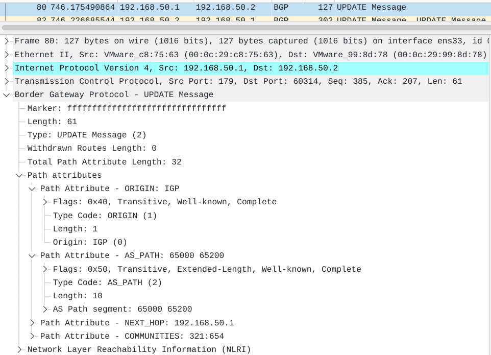 Example BGP-4 dissected message showing various attributes