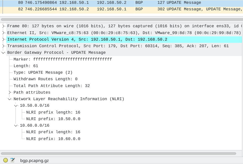 Example BGP-4 dissected message showing multiple NLRI
